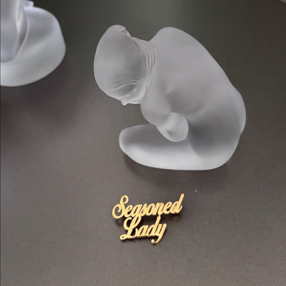 Seasoned Lady Brooch